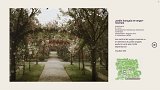 L'image montre un jardin français avec un verger-roseraie, capturé dans une ambiance douce et légèrement nostalgique. Des allées délimitent des parterres de fleurs, probablement des rosiers, et des arbres fruitiers poussent le long du chemin. L'environnement est verdoyant et bien entretenu, créant une atmosphère paisible et sereine. La date mentionnée, le 13 juillet 1915, situe le jardin dans un contexte historique. La légende à droite indique que la photographie a été réalisée par Auguste Léon.