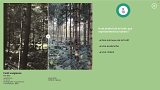 L'image présente un paysage de forêt vosgienne. À gauche, on remarque une forêt dense avec des arbres sombres et une ambiance mystérieuse. À droite, le décor est plus lumineux, montrant une rivière qui serpente à travers des rochers et des arbres. Ce contraste met en avant la diversité de la nature dans cette région, avec des éléments tels que des animaux de la forêt et le mouvement de l'eau.