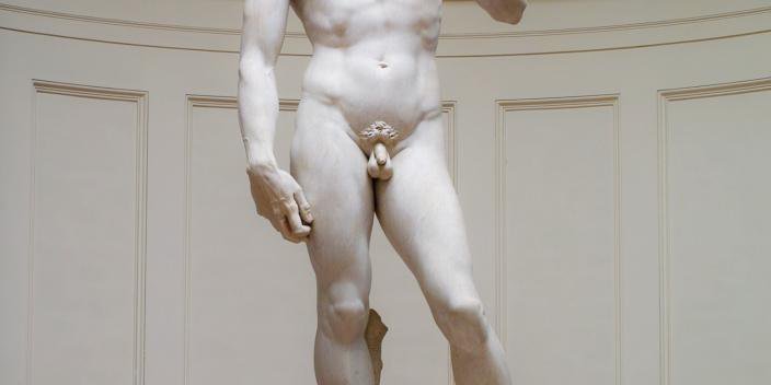 Cette image montre la célèbre sculpture de David réalisée par Michel-Ange. La statue représente un jeune homme nu, debout, avec une posture confiante. David est représenté dans un style idéalisé, mettant en avant des détails anatomiques précis, avec un visage serein et des muscles bien définis. La sculpture est taillée dans le marbre blanc, témoignant du savoir-faire exceptionnel de l'artiste de la Renaissance. Le fond est simple et neutre, mettant en valeur la beauté et l'expression de la statue.