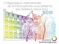 L'image présente une illustration stylisée d'un bâtiment urbain, réalisée avec des lignes colorées qui évoquent la diversité et la culture. Au-dessus de la structure, le texte indique que "L'Organisation internationale de la Francophonie vous présente ses meilleurs vœux pour 2011". Le design est moderne et transmet un message de convivialité et de célébration de la francophonie. Le logo de l'organisation est également inclus, ajoutant une touche officielle à l'ensemble.