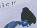 L'image présente une silhouette d'une personne vue de profil, avec un style minimaliste et des couleurs froides. Les traits sont délicats et l'expression semble contemplative. On peut également remarquer des éléments de design graphique qui complètent la composition. L'ensemble dégage une atmosphère artistique et introspective.