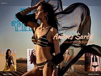 L'image présente une page d'accueil d'un site de mode, probablement consacré aux maillots de bain. On y voit une mannequin en maillot de bain noir et beige, avec une cape légère qui flotte autour d'elle. Le décor arrière-plan évoque un paysage désertique, qui ajoute une touche de chaleur et d'élégance à l'ensemble. Le texte en surimpression mentionne "Andrés Sarda" et "la collection balnéaire 2017", mettant l'accent sur une thématique estivale et chic. D'autres images de maillots de bain s'affichent en bas de la page.
